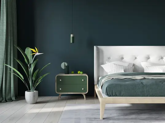 Colour consultant Brighton